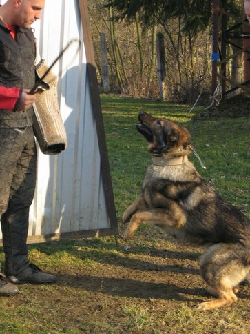 Trenink_Klatovy_21.3.09_141.jpg