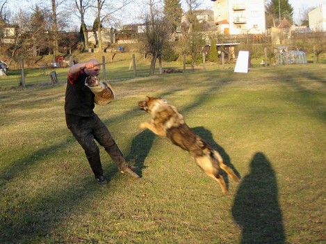Trenink_Klatovy_21.3.09_595.jpg