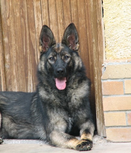 Kopie - IMG_2748.JPG
