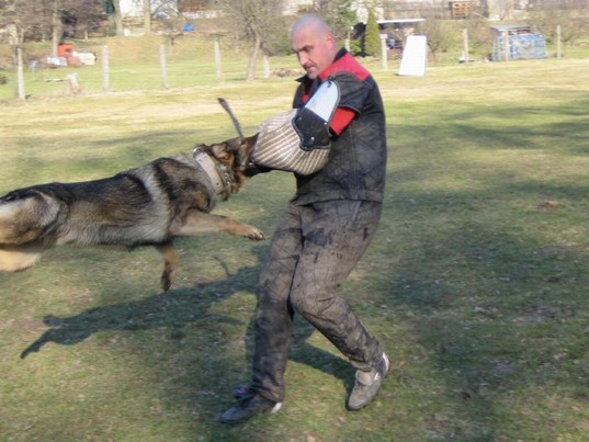 Trenink_Klatovy_21.3.09_117.jpg